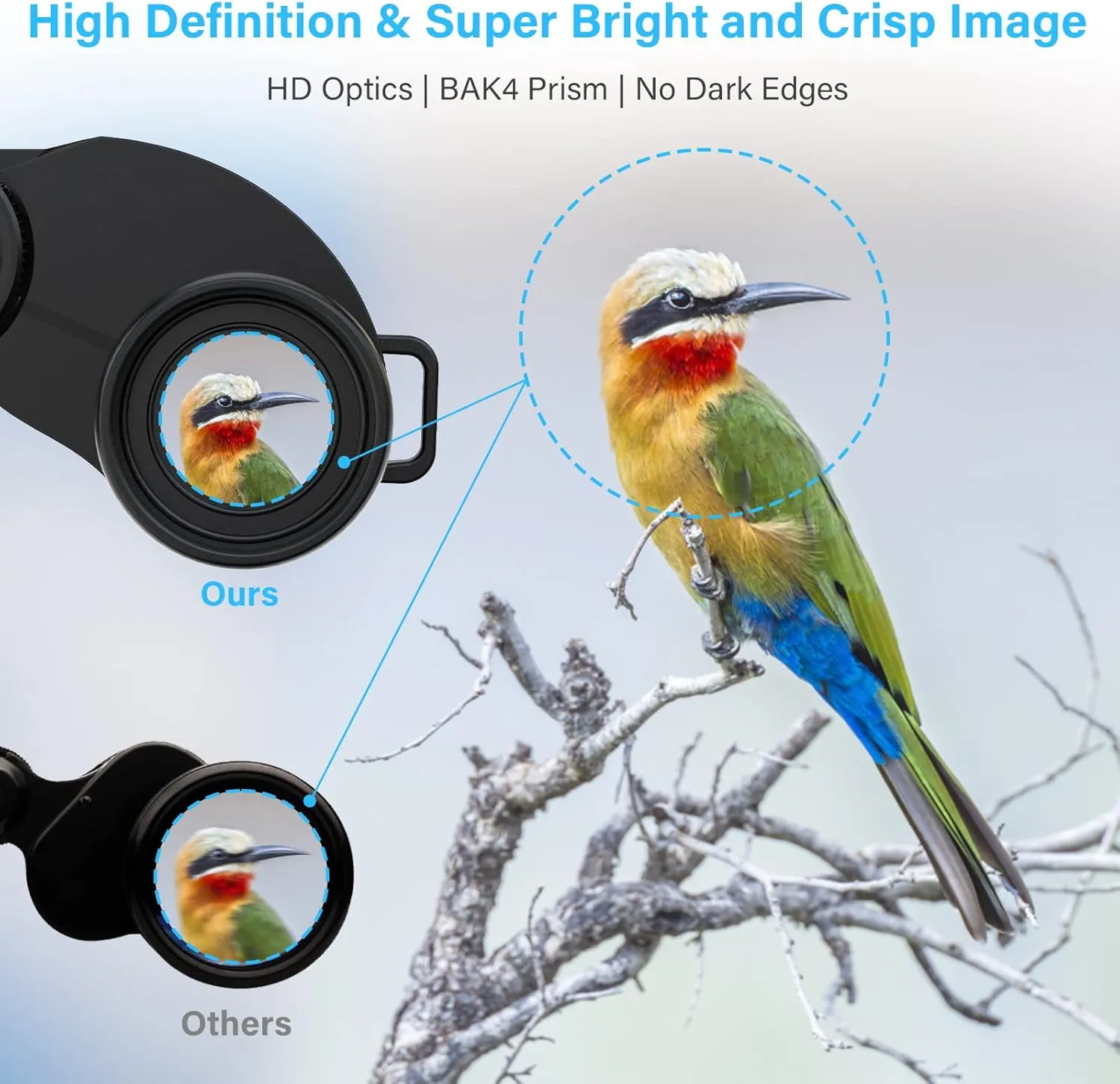 Compact Binoculars for Adults and Kids, 20X30 Waterproof Small High Powered Pocket for Bird Watching, Hunting, Concert, Traveling, Sightseeing - Black