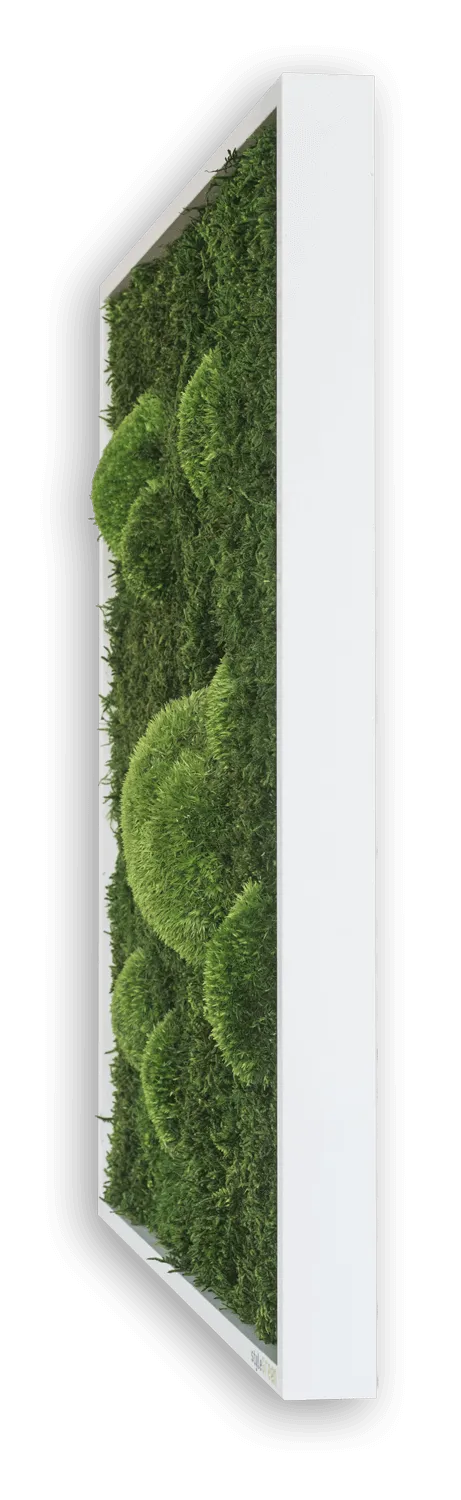 Green Wide Moss Wall Art (140x40cm)