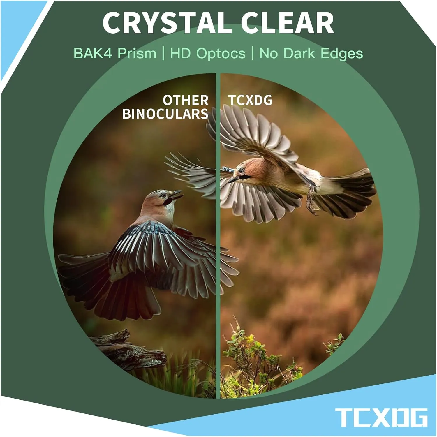 HD 10x42 Binoculars with Phone Adapter - 8x20 Corner Monoculars - Large View, Clear Low Light Binoculars - Waterproof, Lightweight for Birding, Boating, Hiking, Camping (Black)